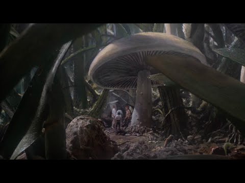 Honey, I Shrunk the Kids (1989) - The kids are taken to the backyard | RetroMovies