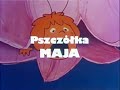 Maya The Bee Intro Polish Lyrics