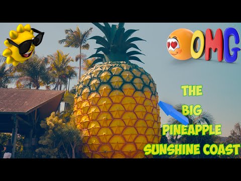 The Big Pineapple Queensland | Sunshine Coast Australia