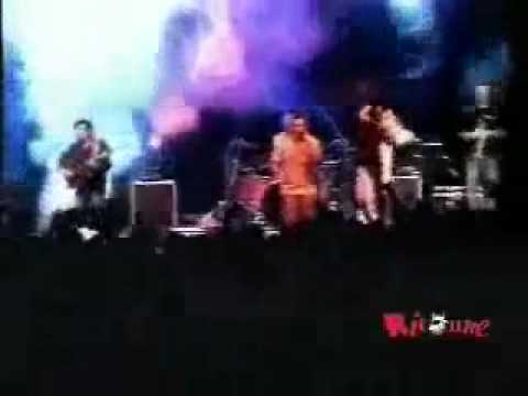 La Vache elle est Barjo !!!