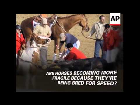 What happened at Churchill Downs?