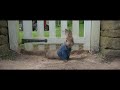 Cartoon Best Funny Scene In Hindi Peter Rabbit
