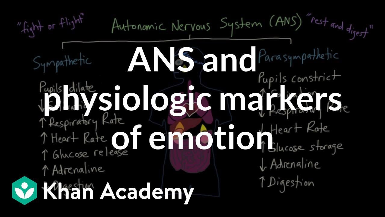 Autonomic nervous system (ANS) and physiologic markers of emotion | MCAT | Khan Academy