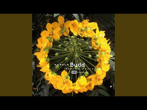 Little Heart (2013 Remaster)