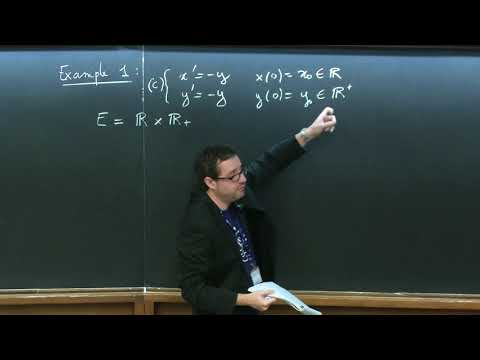 Collisions in plasmas: The Landau equation - I