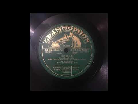 Paul Godwin mit seinen Jazz-Symphonikern - Sehnsucht (Blues)