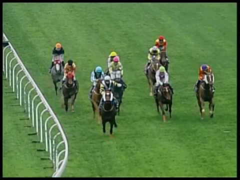 2017-03-18 Macau Meeting Race 5(0193) - HONORARY RACING STEWARDS PHILANTHROPY CUP