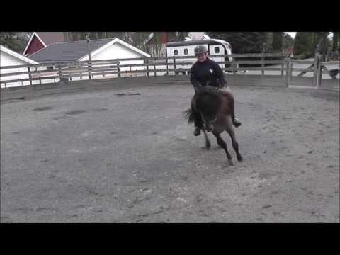 Høst trening med Thomas 31 08 16 Gandalvur