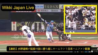 【劇的】水野達稀が延長11回に勝ち越しホームラン！日本ハムファン歓喜