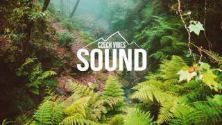 S. F. T - Birds Are Away