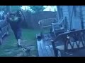 WILLIAM S LOCK OUT FREAK OUT