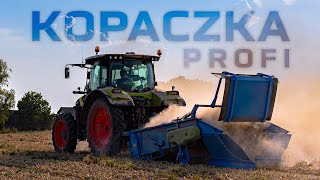 Vyorávač cibule - dvojpásový