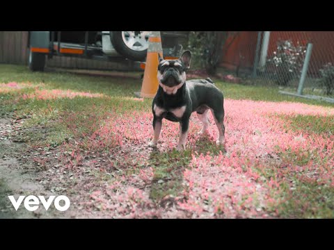 Longmoney Phil - Hands On It ft. Chicken P (Official Music Video) ft. Chicken P