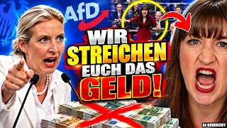 🔥 DIÄTEN-STREIT ESKALIERT! AfD FORDERT STREICHUNG – DANN HAGELT ES ORDNUNGSRUFE!