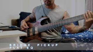 Video thumbnail for Kiesel VB5 Demo by phatbass37