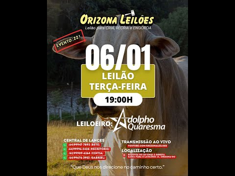 Orizona Leilões - 06/01/2026 I Leilão ao Vivo - Leilão em Goiás