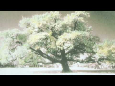 The Hollies  -  The Air That I Breathe