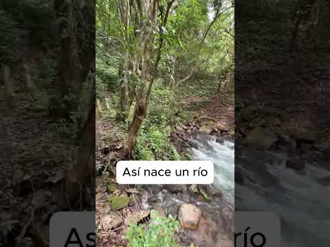 De esta manera nace un río | Tejutla, Chalatenango 🇸🇻