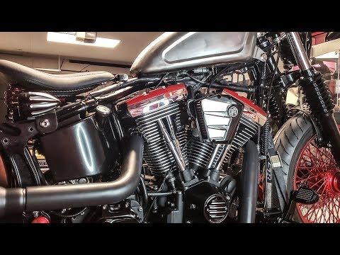 Performance S&S Cam and Quickee Pushrods Install- FatBoy Bobber Build
