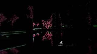 #浪漫飛行　秋の夜長に乾杯🥂の巻‼️