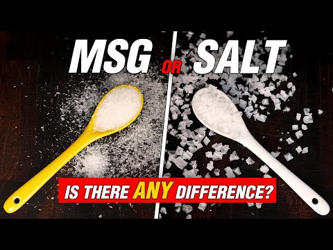 Salt or MSG? What’s the Best Option For Meat? (EXPERIMENT)