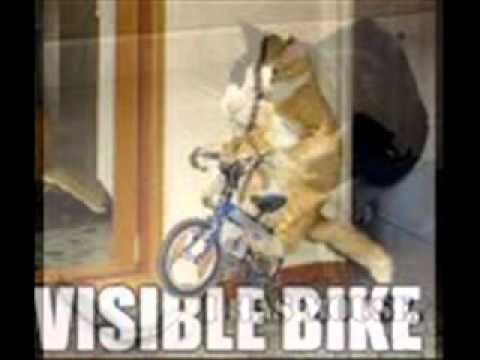 Random cat quotes!.wmv