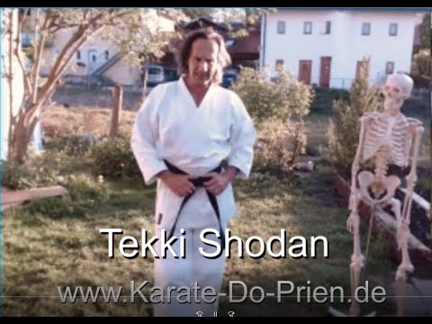 TEKKI Shodan Tutorial