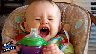 Chubby Babies Can Make Your Day More Happy || Funny Vines