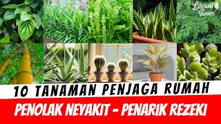 Download lagu 10 Tanaman Penjaga Rumah, Penolak Penyakit Hingga Penarik Rezeki mp3 Download lagu 10 Tanaman Penjaga Rumah, Penolak Penyakit Hingga Penarik Rezeki mp3