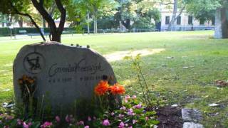 Cornelis Vreeswijk      Op leeftijd