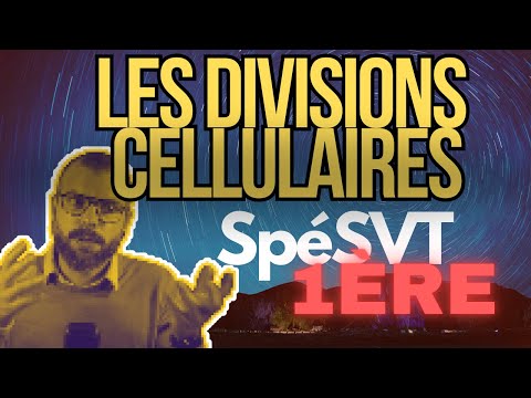 Les divisions cellulaires chez les eucaryotes - 1ère Spécialité SVT #svt #lycée #cellule