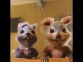 Squirrel Singing Friday Song Funny Version Internet Reels Dog Funny Tiktok Squirrel Singing