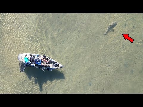 Fishing for GIANTS in the Shallows!?!