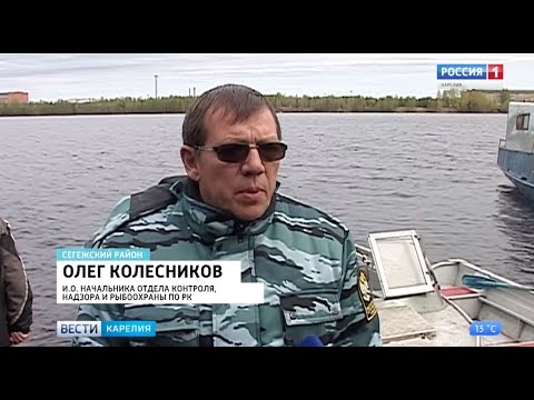 В Выгозере госинспекторы обнаружили несколько десятков запрещённых сетей