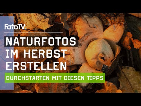 Schöne NATURFOTOS im Herbst mit unseren Experten 🍂📷 | FotoTV.