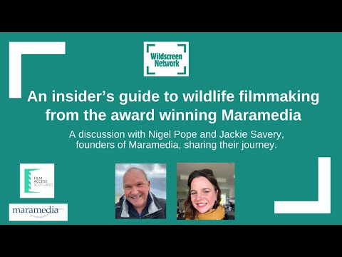 An insider’s guide to wildlife filmmaking With Maramedia