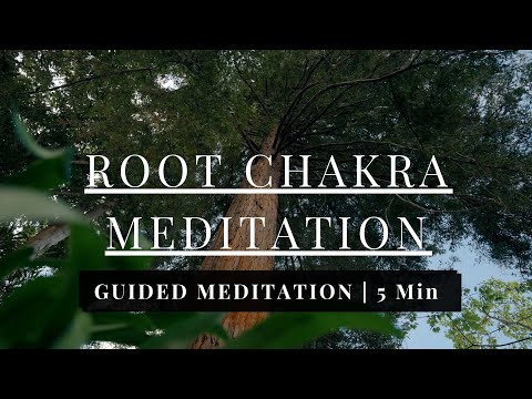 Visha guided meditation — The dark before the note