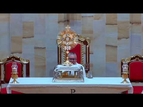 Hoy contemplamos la gloria de Cristo. Participemos con fe en la Santa Misa.