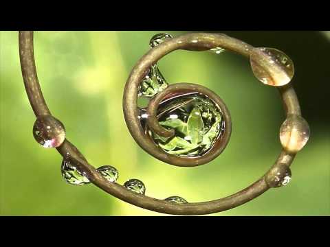 Biologik - Two (Arthur Deep Remix)