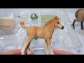 Schleich Horse Club 42432 Sarahs Cub priežiūros rinkinys
