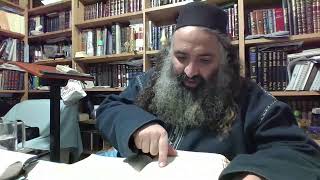 ברית מנוחה 3