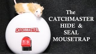 The CATCHMASTER Hide &amp; Seal Mousetrap. Mousetrap Monday