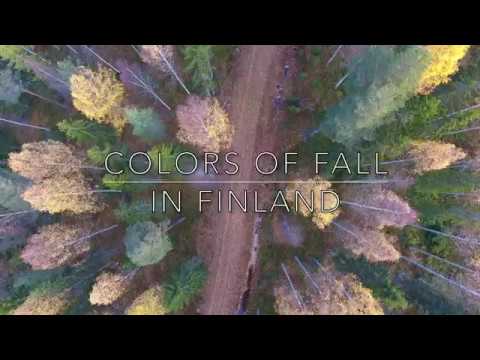 COLORS OF FALL IN FINLAND 4K