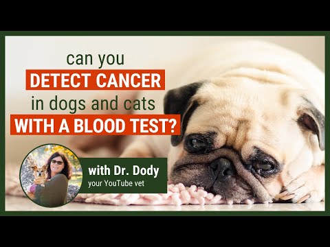 Detecting cancer in your pet with a blood test
