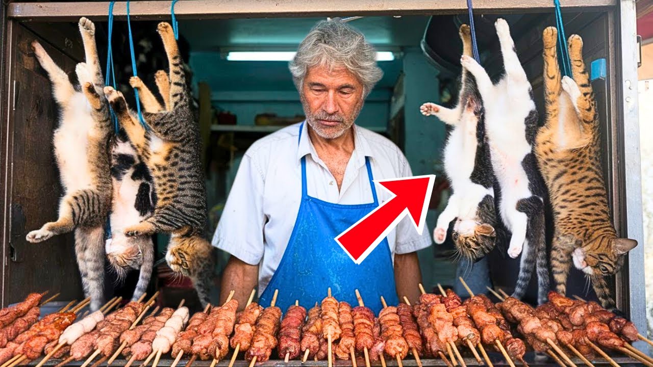 ESPETINHO de GATO? IDOSO VENDE CARNE DE GATO E CHOCA TODOS AO REVELAR VERDADE