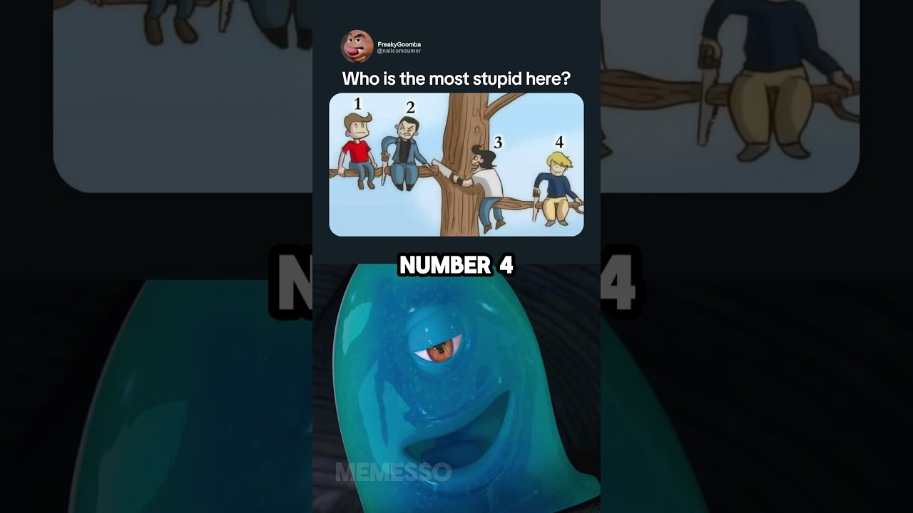 which one is the most stupid 💀