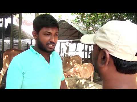 লাইভস্টক ডেইরি মোবাইল এপস