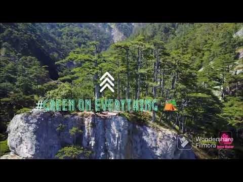 My Green Grounds Intro