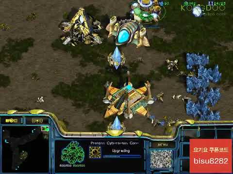 BW FPVBisu v NsP Sharp PvT 140819 Fighting Spirit