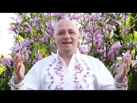 Formatia Ciprian Buzitza - Şogore